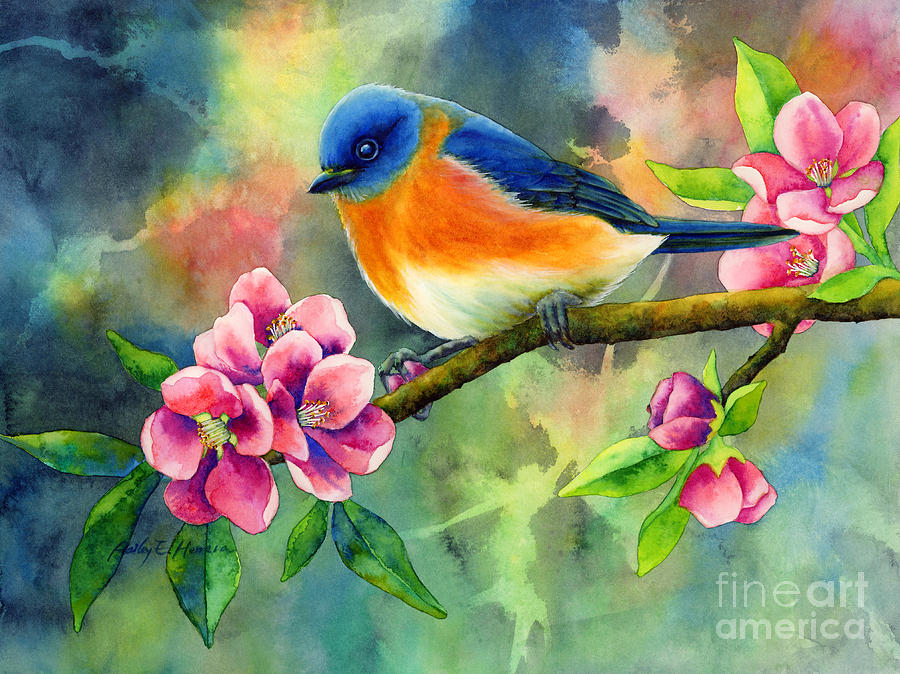 900x674 Eastern Bluebird Painting By Hailey E Herrera - Eastern Bluebird Painting
