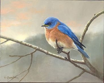 366x294 The Blue And The Gray - Eastern Bluebird Painting