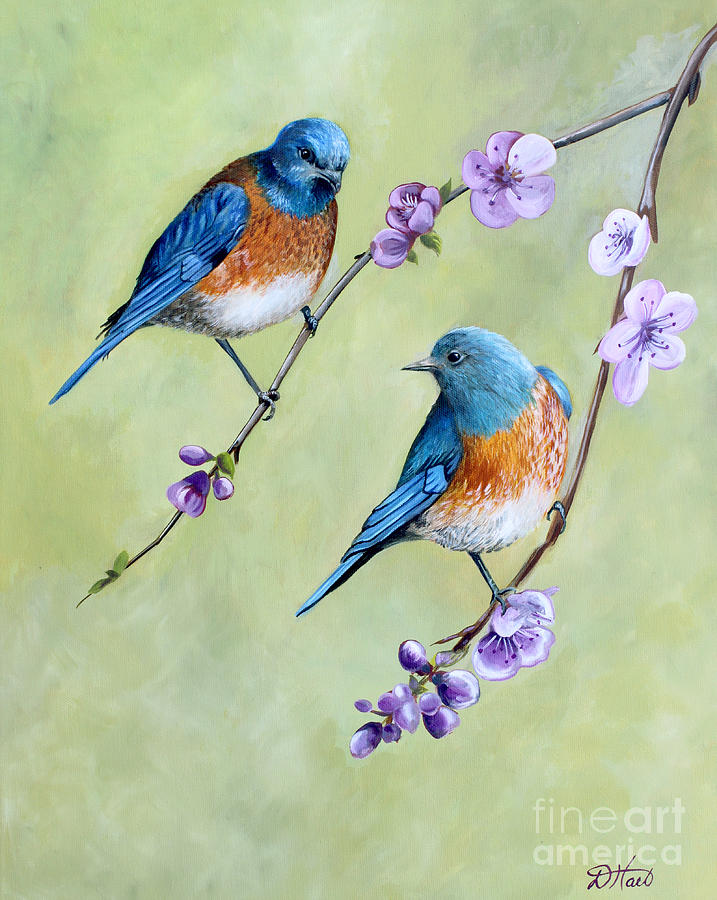 717x900 Bluebirds And Blossoms Painting By Debbie Hart - Eastern Bluebird Painting