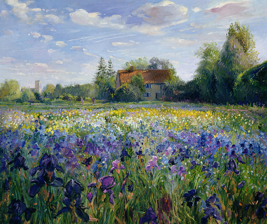 900x754 Evening At The Iris Field Painting By Timothy Easton - Easton Painting