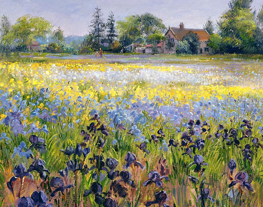 900x707 Irises And Two Fir Trees Painting By Timothy Easton - Easton Painting