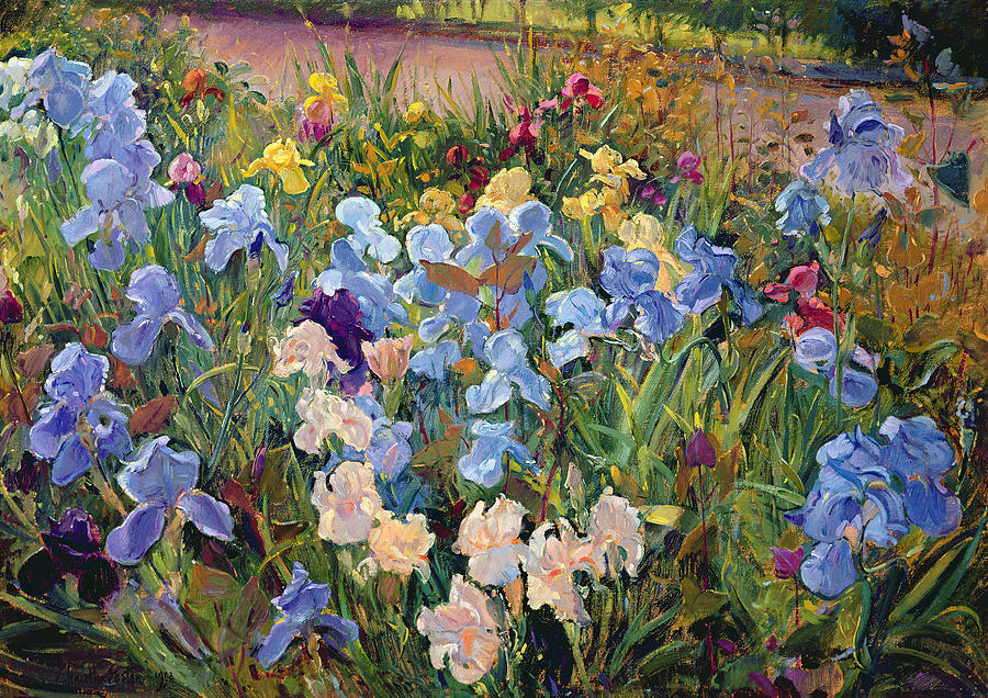 900x636 The Iris Bed Painting By Timothy Easton - Easton Painting