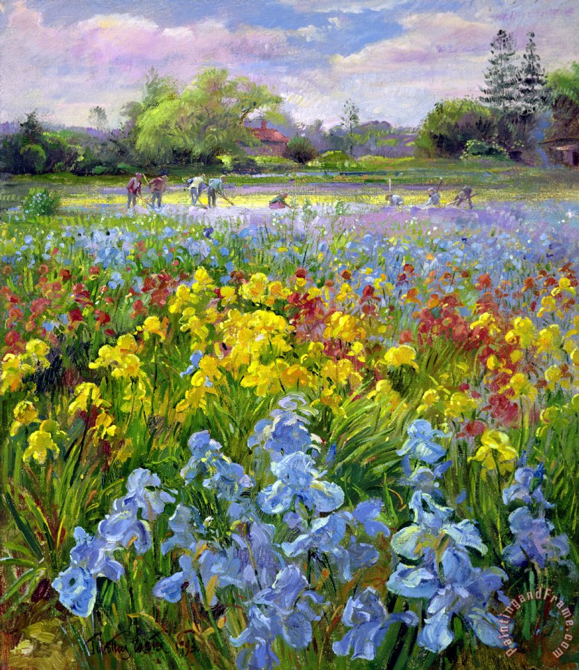 830x960 Timothy Easton Hoeing Team And Iris Fields Painting - Easton Painting