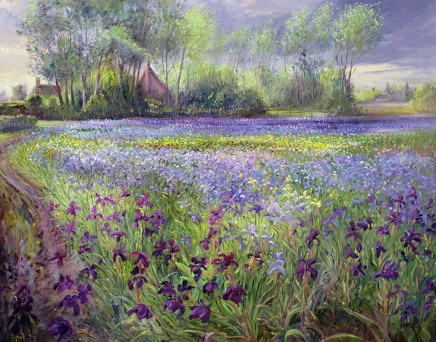 900x705 Trackway Past The Iris Field Painting By Timothy Easton - Easton Painting