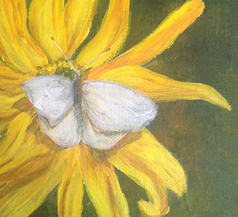 480x438 How To Paint White Butterflies In Acrylic Remote Works - Easy Butterfly Painting