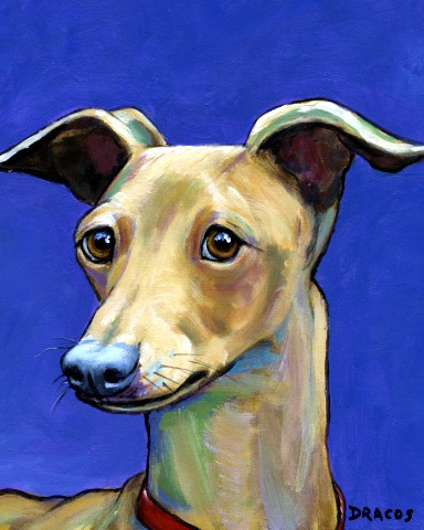 384x480 Dog Paintings (And Cat And Other Animals) By Dottie Dracos Daily - Easy Dog Painting