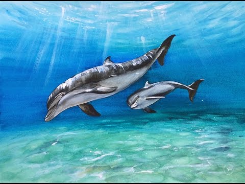 480x360 Watercolor Dolphins Painting Demonstration - Easy Dolphin Painting