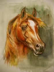 188x250 Is It Easy To Use Watercolors To Paint A Horse Horse Paintings - Easy Horse Painting