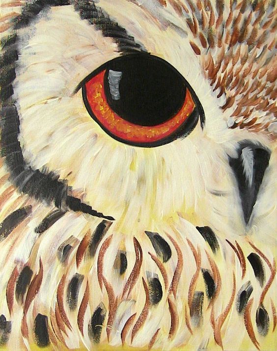 564x715 By Cinnamon Cooney The Eye Of An Owl Looks - Easy Owl Painting