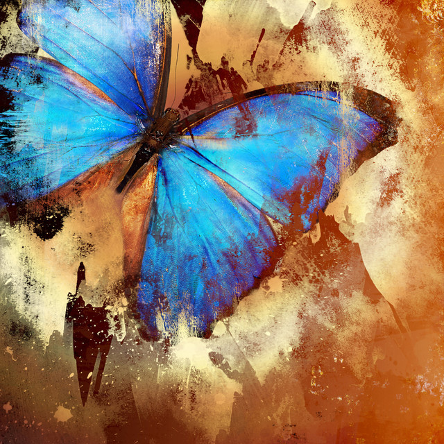 640x640 Art Amp Pleasure Free Butterfly Painting On Wood - Eclectic Painting