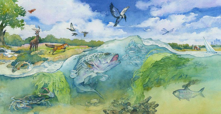 730x378 Raising Tokens To Build A Company Or An Ecosystem William - Ecosystem Painting