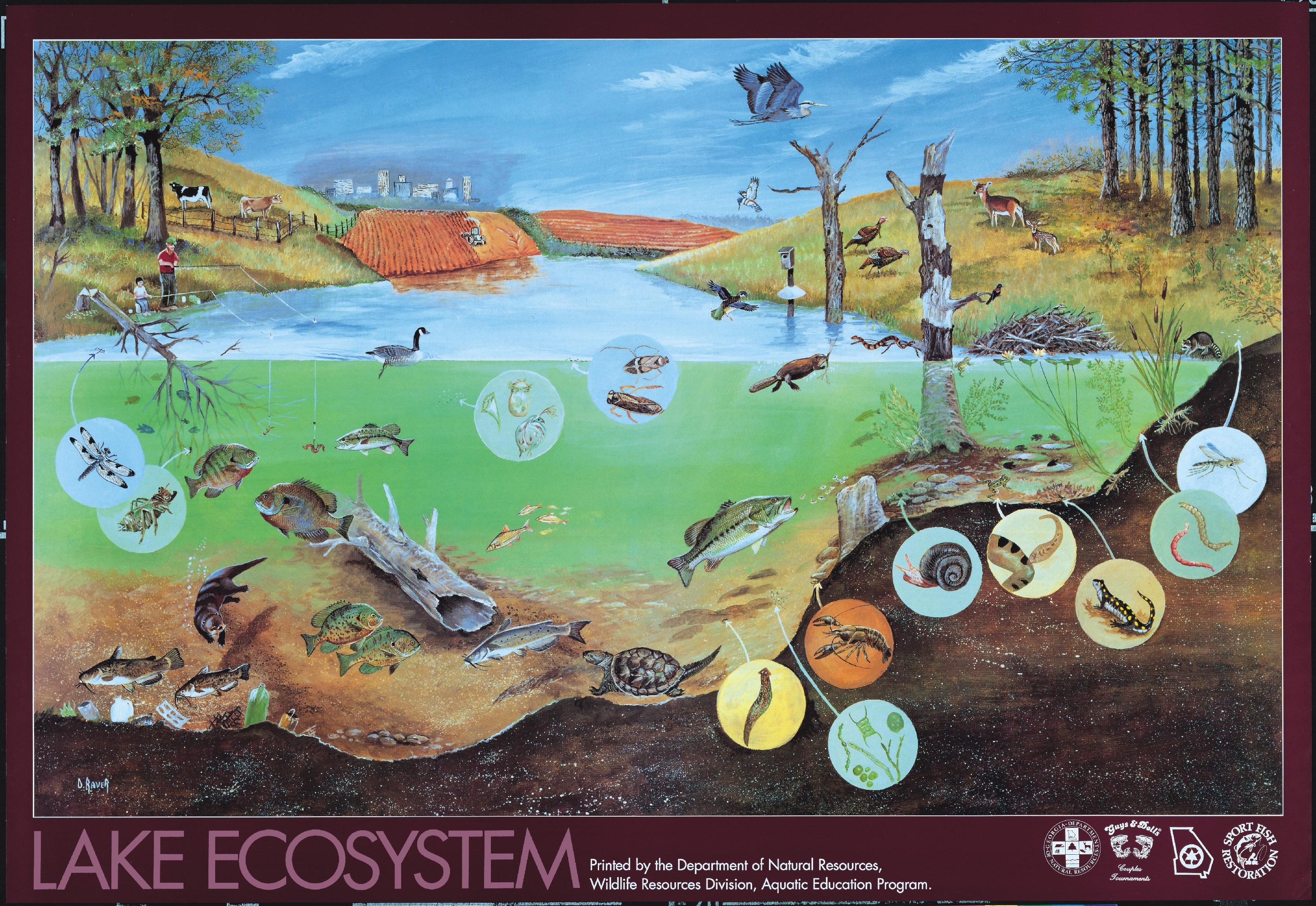 Ecosystem Painting at PaintingValley.com | Explore collection of