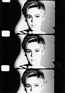 226x320 Edie Sedgwick, 1966 Art Poster Print By Andy Warhol - Edie Sedgwick Painting