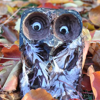 320x320 Egg Carton Owl - Egg Carton Painting