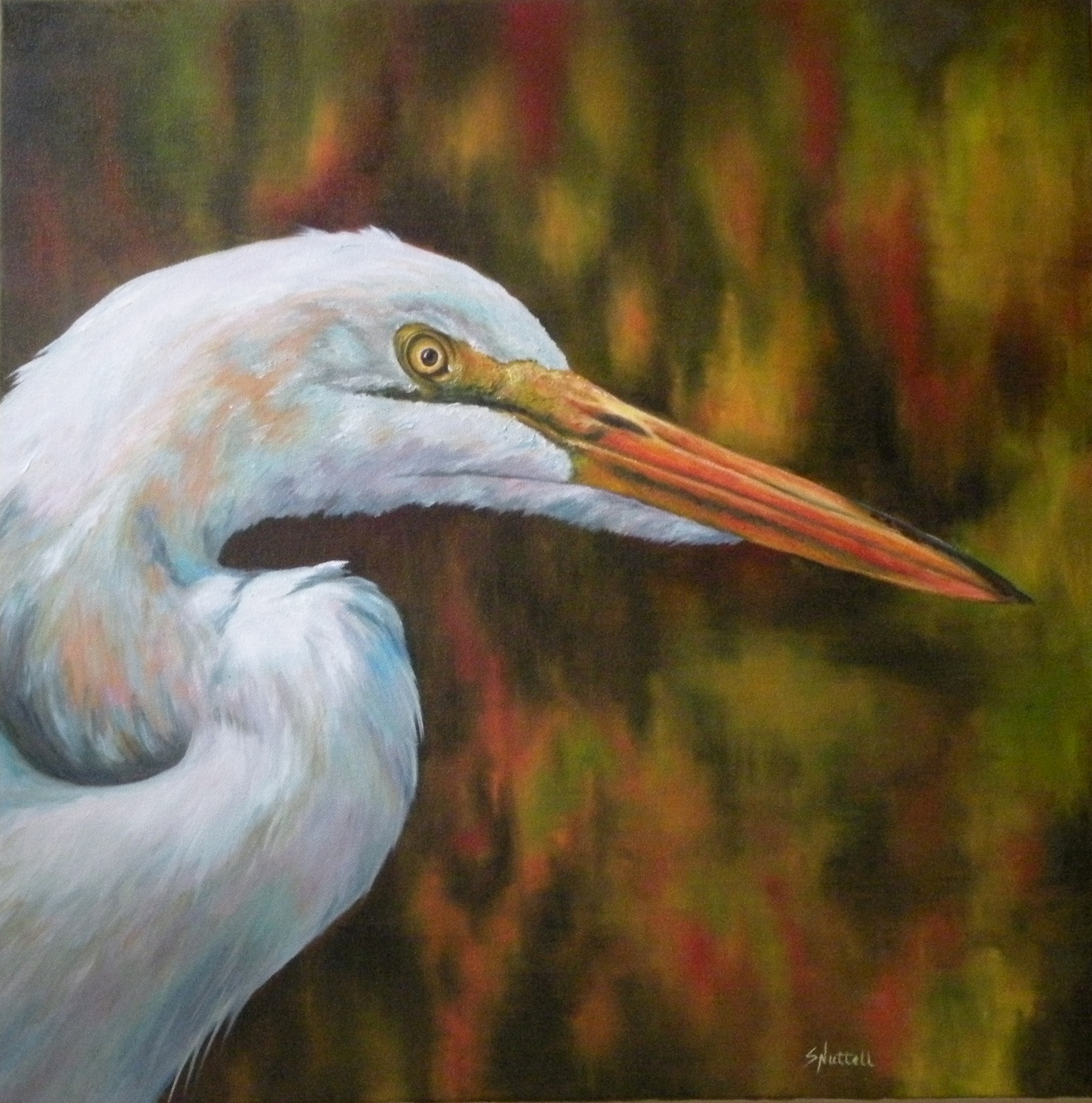 2178x2200 Oil Paintings Gallery Categories Creative Art By Susan Nuttall - Egret Oil Painting