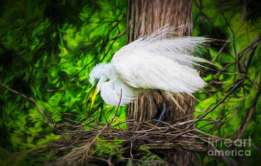 900x574 Egret Oil Painting Effect Photograph By Paulette Thomas - Egret Oil Painting