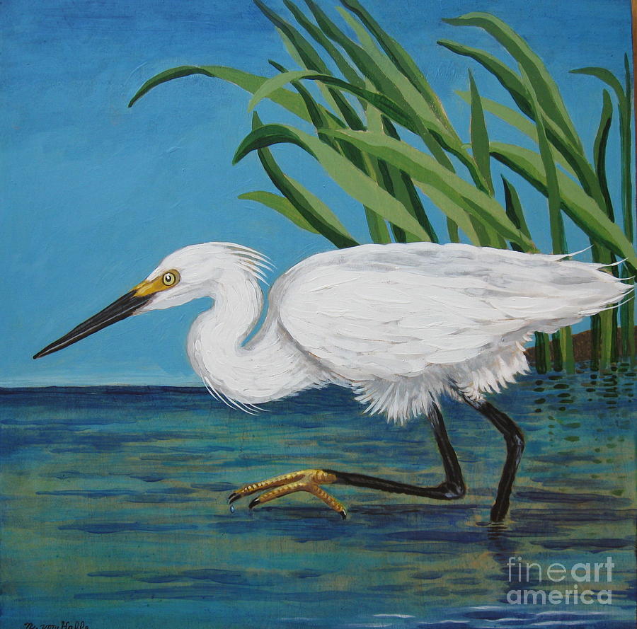 900x889 Egret Painting By Nancy Yarnall Von Halle - Egret Painting