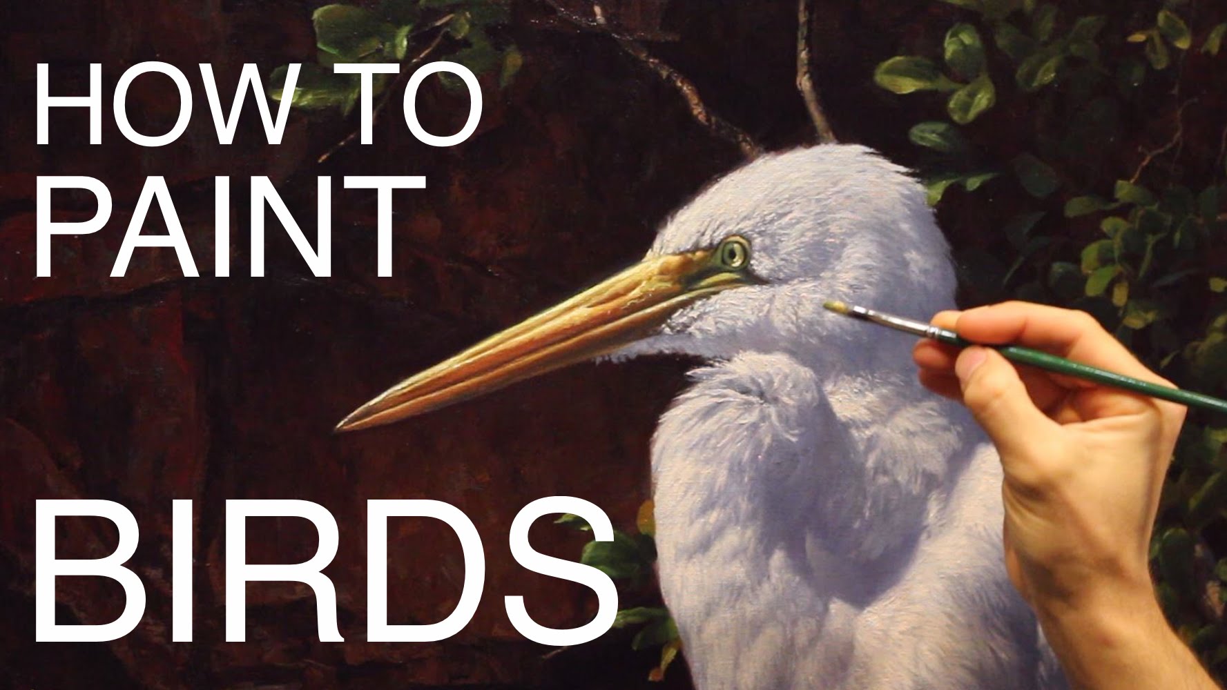 1777x1000 How To Paint Birds Episode Three - Egret Painting