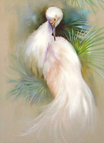 352x484 Snowy White Egret Painting Pack Gary Amp Kathwren Jenkins Paint - Egret Painting