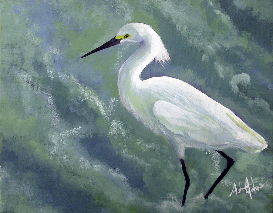 900x701 Snowy Egret In Water Painting By Adam Johnson - Egret Painting