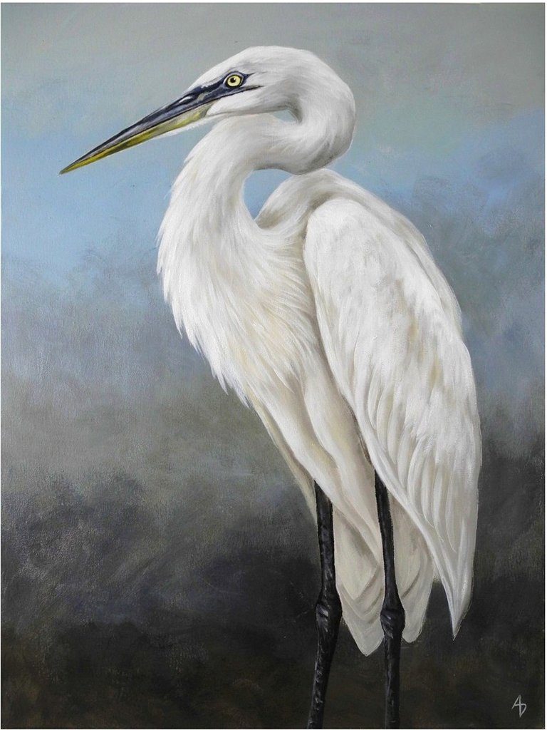 768x1024 White Egret Painting, Realistic Wildlife Shorebird Artwork By - Egret Painting