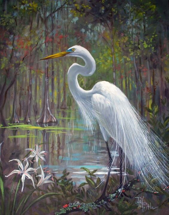 565x720 Watercolor Paintings Of Snowy Egrets Painting By Joy Postle - Egret Painting