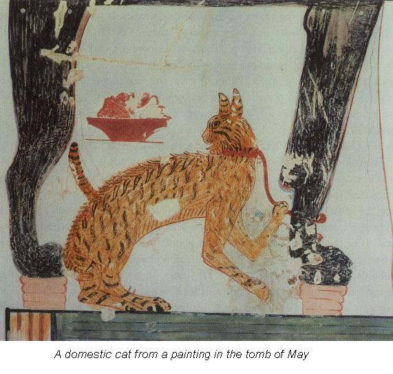 571x543 Tales Of Ancient Egypt - Egyptian Cat Painting