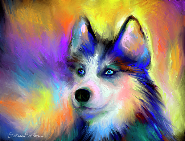 600x455 Electric Siberian Husky Dog Painting Painting By Svetlana Novikova - Electric Painting