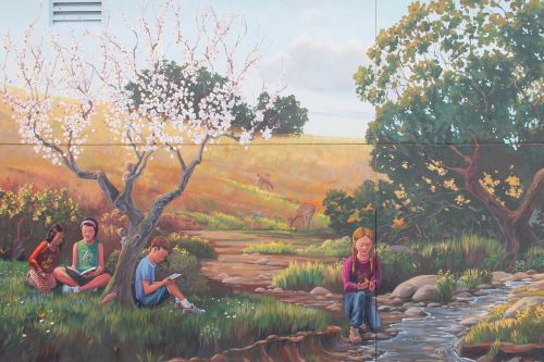 500x333 School Murals By Sf Bay Area Muralist - Elementary School Painting