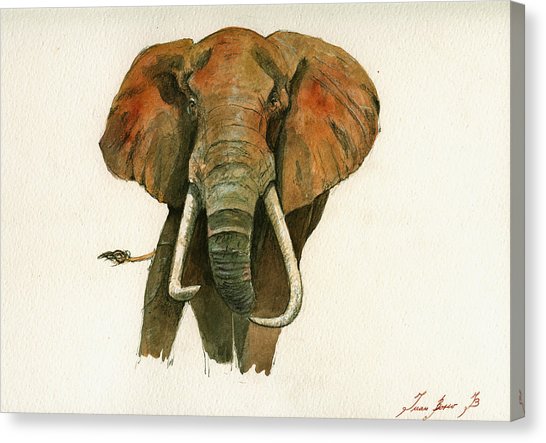546x443 Elephant Canvas Prints Fine Art America - Elephant Canvas Painting
