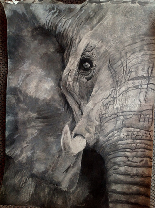 Elephant Eye Painting
