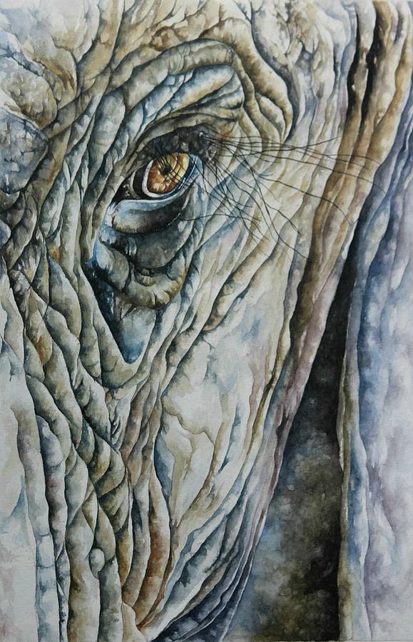579x900 Elephant Eye Painting By Anjana Siag - Elephant Eye Painting