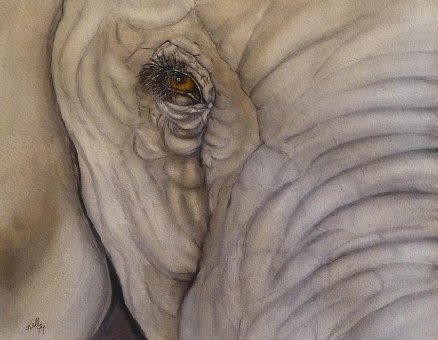 900x699 Elephant Eye Painting By Kelly Mills - Elephant Eye Painting
