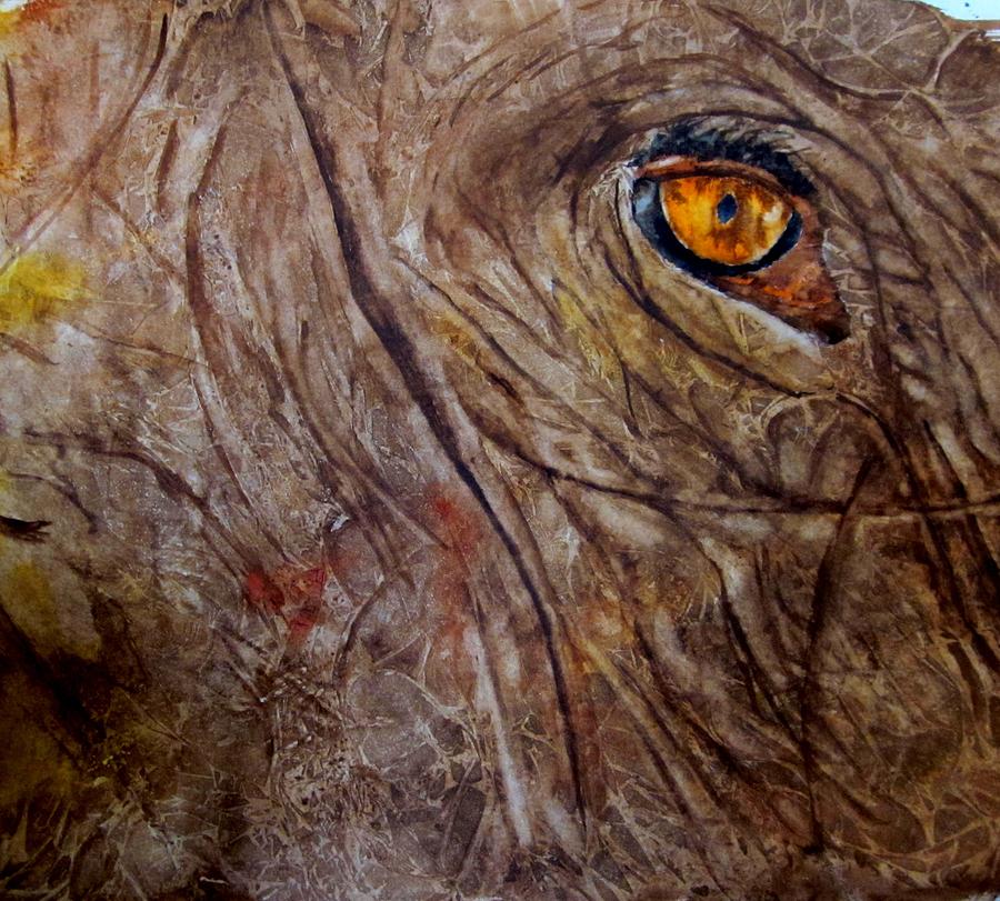 900x811 Elephant Eye Painting By Maris Sherwood - Elephant Eye Painting