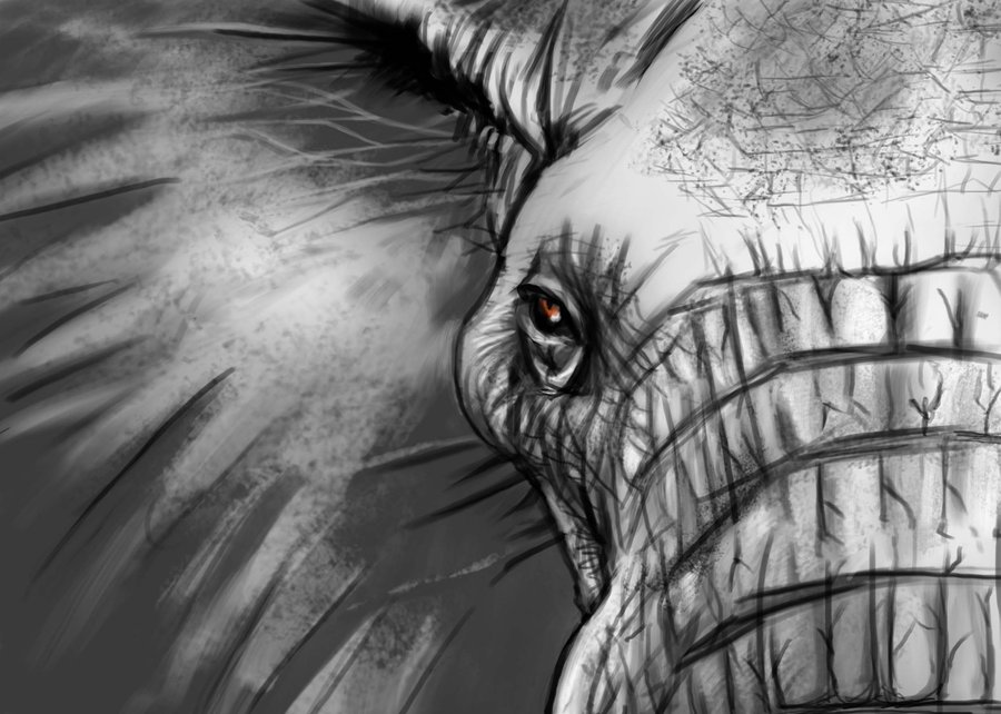 900x642 Elephant Eye By Litterbugger - Elephant Eye Painting