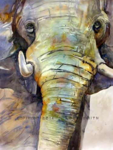 373x495 Elephant Eyes - Elephant Eye Painting