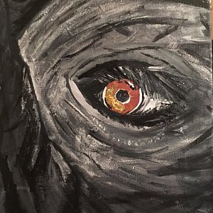 300x300 Elephant Eyes Paintings - Elephant Eye Painting