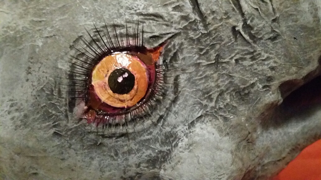 1032x580 Elephant Skin, Elephant Eyes Guest Post Ultimate Paper Mache - Elephant Eye Painting