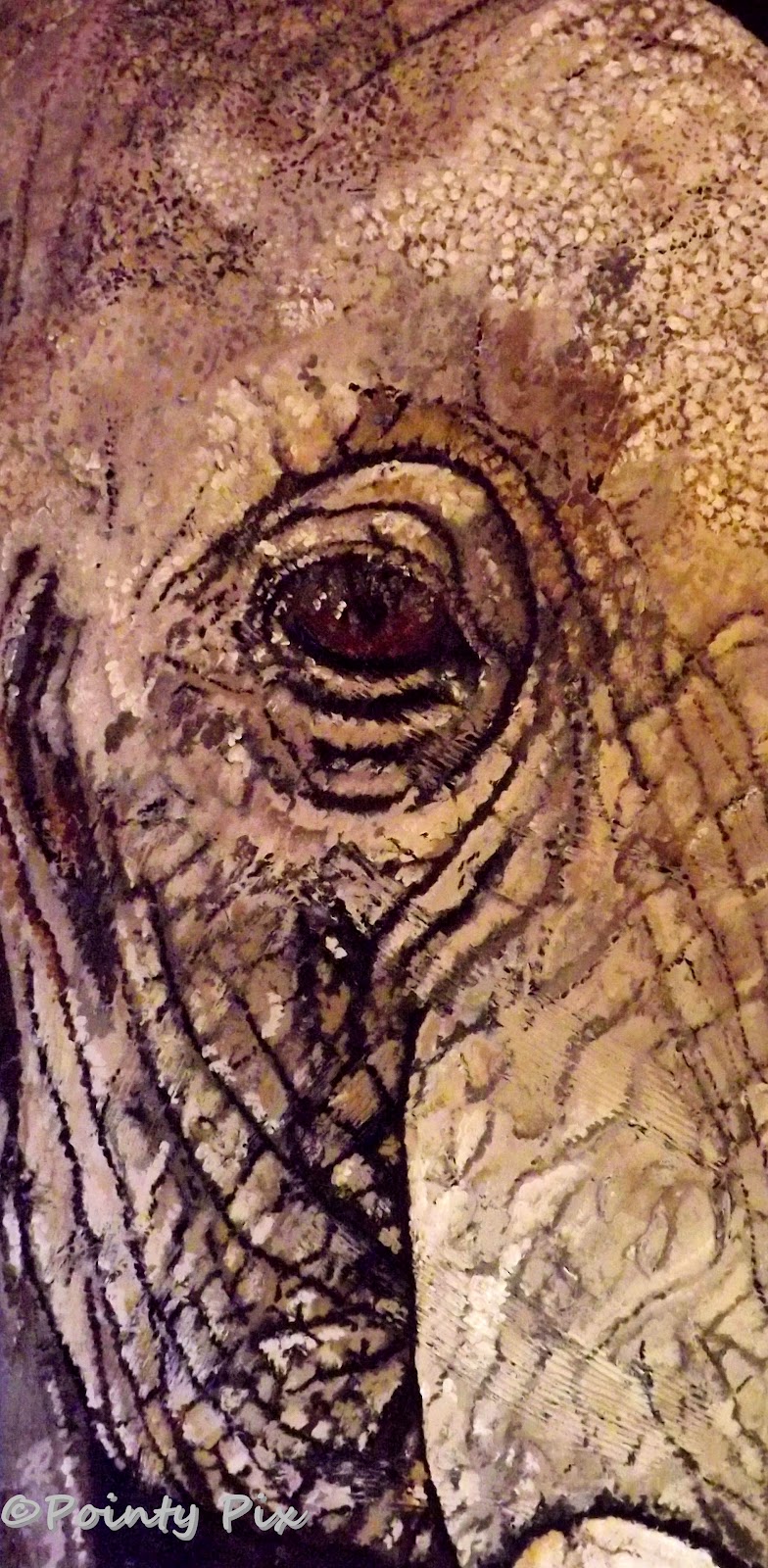 Elephant Eye Painting at Explore collection of