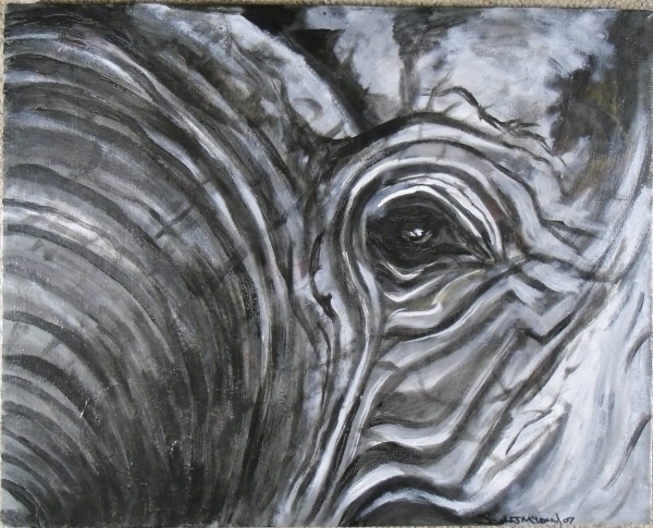 600x485 Scott J Mcleanmclohnmclehn Oil Painting Eye Of An Elephant - Elephant Eye Painting