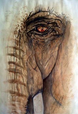 257x375 Window I Elephant Saatchi Online, Saatchi And Window - Elephant Eye Painting
