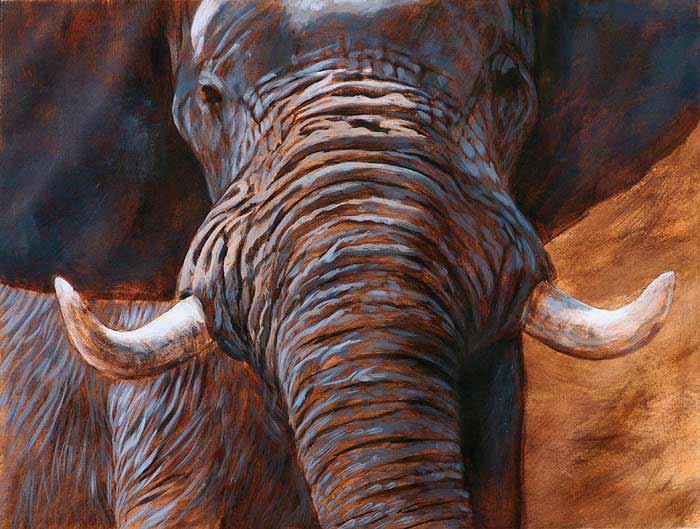 700x529 How To Paint An Elephant - Elephant Eye Painting