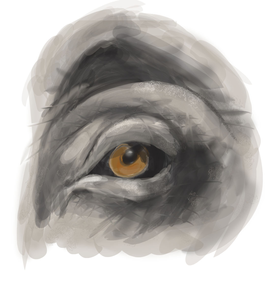 1065x1125 Shipyard I See - Elephant Eye Painting