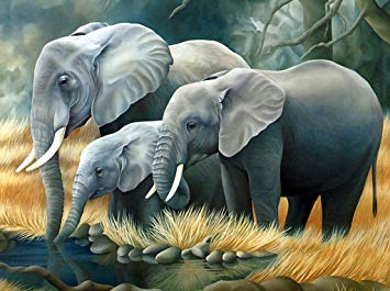355x265 Tsing Diy Crystals Paint Kit 5d Diamond Painting By - Elephant Family Painting