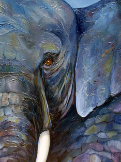 250x333 Elephant Head Paintings - Elephant Head Painting