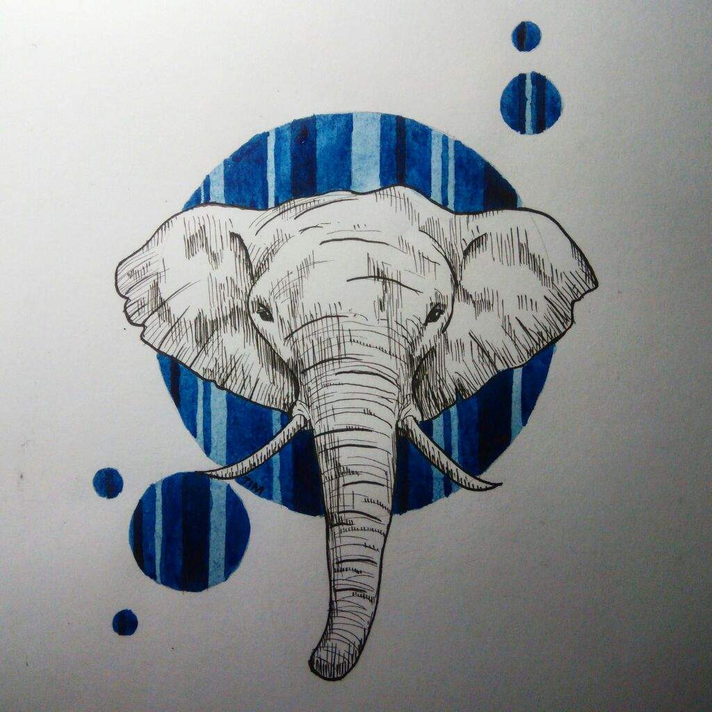 Elephant Head Painting at PaintingValley.com | Explore collection of ...