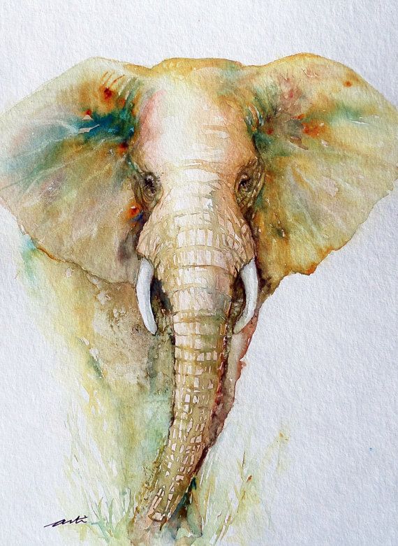 570x781 Elephant Painting Original Watercolor Art 9x12 - Elephant Head Painting