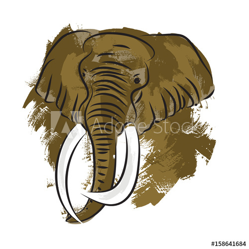 500x500 Hand Drawn Elephant Head Isolated On White Background. Painting - Elephant Head Painting