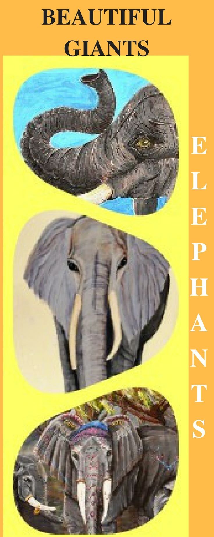 736x1840 Artworks, Wall Decor, Elephants, Mandala, Paintings Fine Art - Elephant Mandala Painting