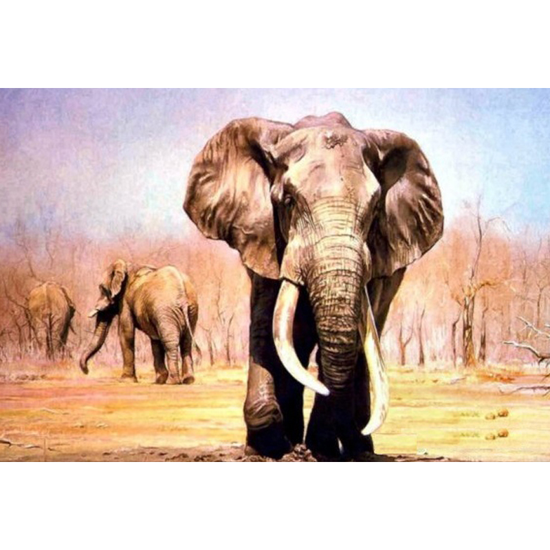 Elephant Oil Painting